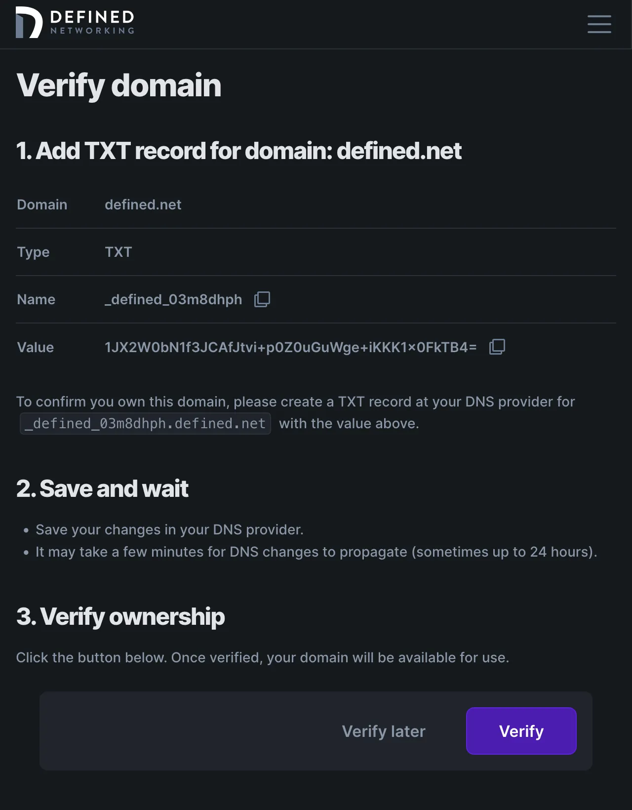 Page that shows instructions for adding a TXT DNS entry to a domain for ownership verification
