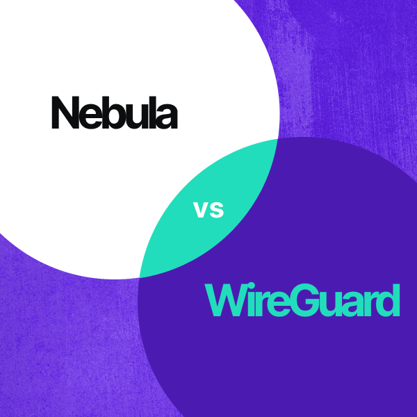 Illustration showing two circles with Wireguard and Nebula written in them, overlapping like a venn diagram.